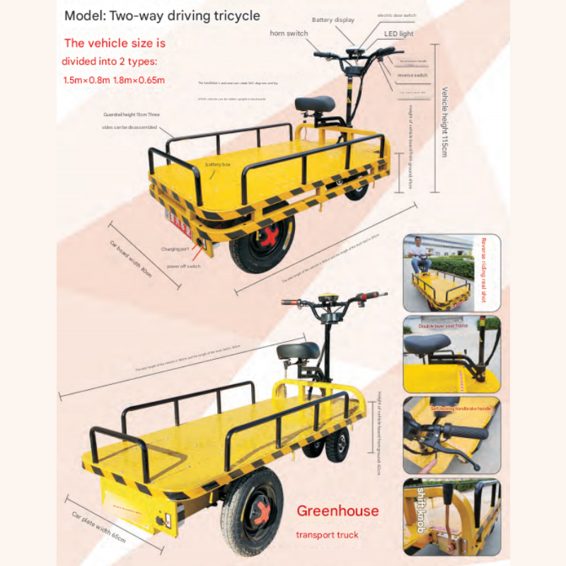 Two-way driving tricycle