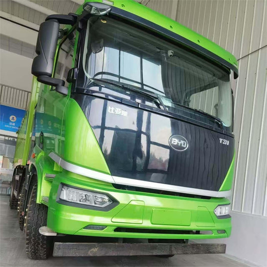 BYD T31