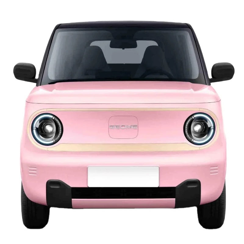 Geely GEOME Panda Mini EV Car 200KM